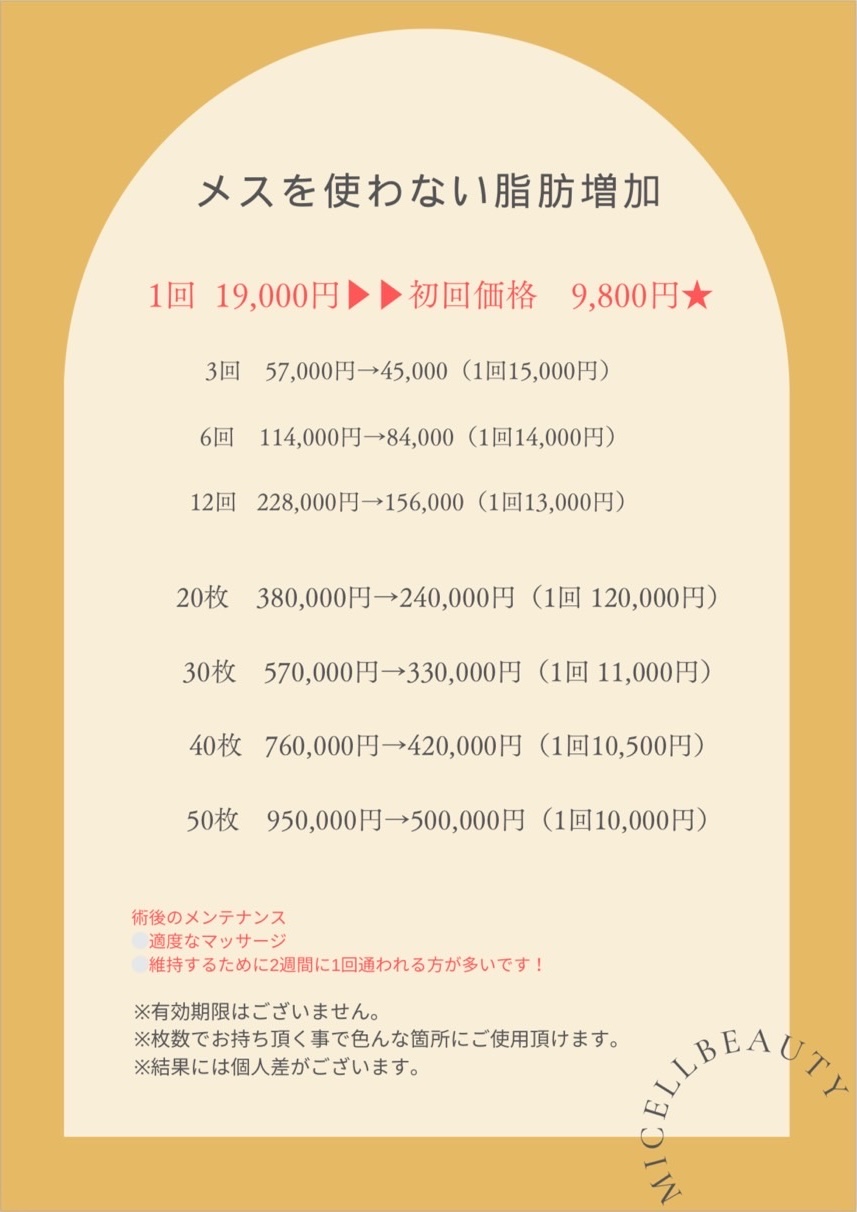 料金表-脂肪増加